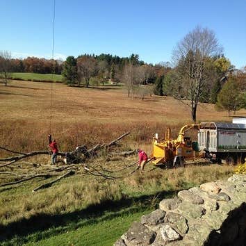 Dave's Landscape Management Company
