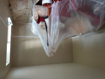 Photos by Salvatore's Painting #4 repaint sitting room