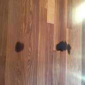 Refinish stain spot removal