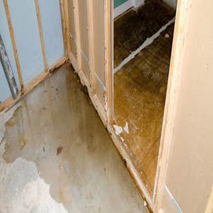 Photos by Water Damage Removal #1