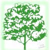Dunn Lawn Care logo