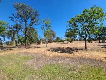 Photos by Navarro Tree Service Inc #11