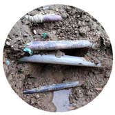 Sewer Experts Denver Sewer Line Repair & Replacement, Drain Scope, Water Lines