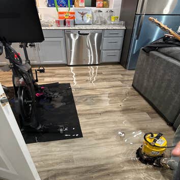 Pro Water & Restoration