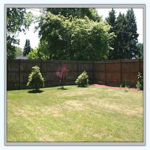 Photos by Matthew Leeper Construction #1