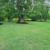 Photos by Alberto Alavez Professional Lawn Services LLC #3