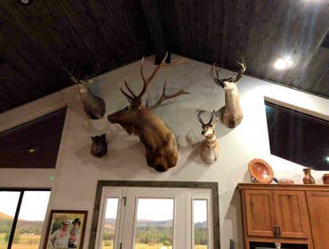 Photos by Excellent and Quality Drywall Inc #1