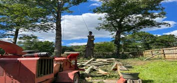 Photos by Kings Tree Service & Landscaping Co #2