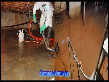sewage restoration services
