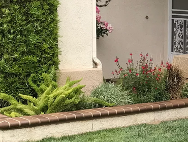 Project Photos