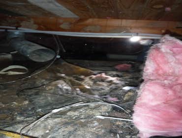 Photo(s) from Johns Waterproofing Co Before and After