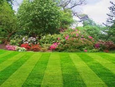 Machado's Landscape Construction We offer a variety of services from planning and design to installation and maintenance which are oriented to the nee