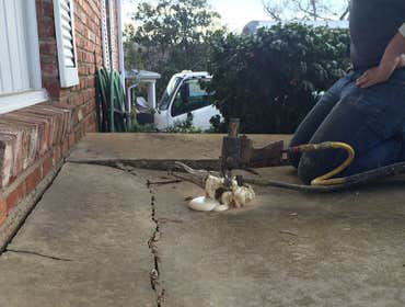 Photos by Columbia Foundation Repair #1