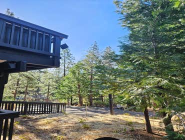 Photos by Discovery Tree Care, Inc #27