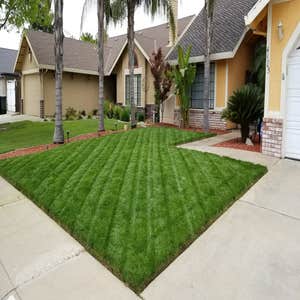 Ortiz Lawn Care