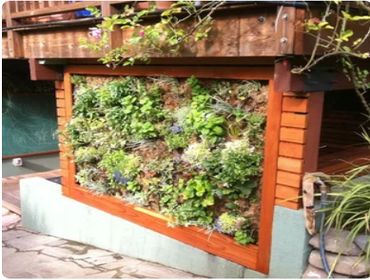 Redwood Concrete Outdoor Kitchen