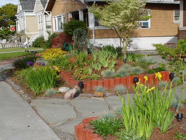 Landscape, Hardscape, Drainage & Sprinklers