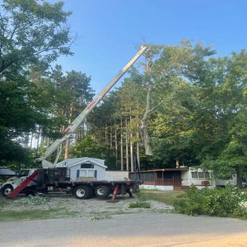 Photos by Gallardo Tree Service LLC #1