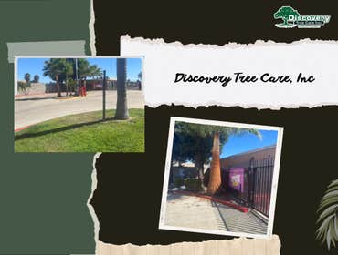 Photos by Discovery Tree Care, Inc #16