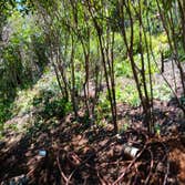 Photos by Juarez Landscaping #4