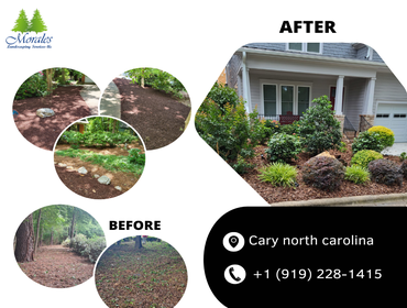 Photos by Morales Landscaping Services, LLC #23