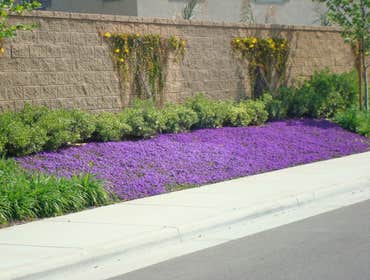 Photos from Pacific Coast Landscape & Design Inc