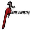Pro-plumb Plumbing, LLC logo