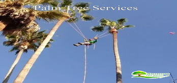 Hallelujah Tree Service