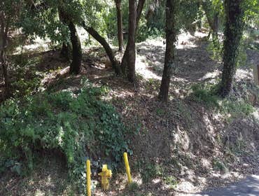 Pressure Washing and Landscape Clean up in Healdsburg