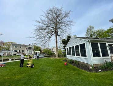 Photos by American Pride Tree Experts & Landscaping Inc #33