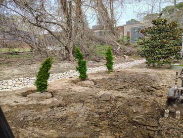 Flores Tree Services General & Landscaping
