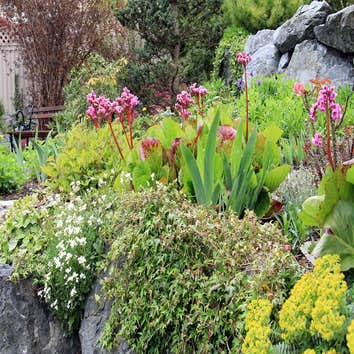 Charlotte Landscaping Services