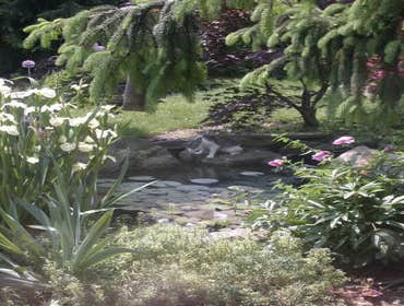 Photo(s) from Landscape Architectural Services Inc