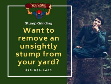 We Care Tree Services Looking for complete tree service. From tree removal to land clearing – We Care Tree Service can handle all of your tree service 