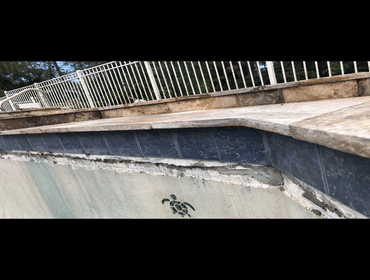 Photos by Oasis Pools and Pavers #1