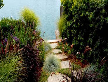 Garden Landscaping