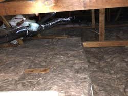 Photos by La Everlast Duct Testing - Santa Monica #1