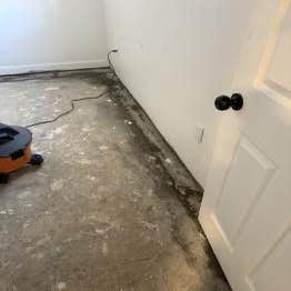 the Crawlspace King