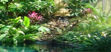 Ponds and Water Features Sunset Bay Landscaping Inc.'s designers can transform your property into a luxurious oasis with multiple waterfalls, water fea