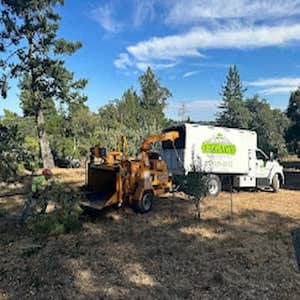 Photos by Legacy Tree Service LLC #2