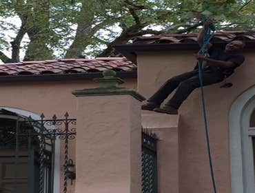 Photos from South Texas Tree of Life Tree S.Tx Tree of Life Tree Service