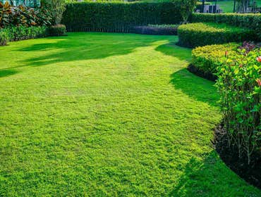 Photos by McAllen Landscaping Pros #1 Landscaping Services Work Projects in McAllen TX