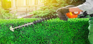 Arbor King Tree Service LLC