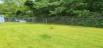 Photos by Kelly Solutions Construction LLC #4 New 8ft privacy fence with concrete footer and chain link security fence. Commercial