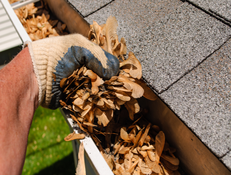 Gutter Cleaning