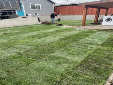 Photos by Victor Landscaping LLC #7