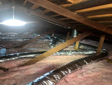 Insulation & Rodent Treatment
