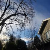 Photos from Lineage Tree Care