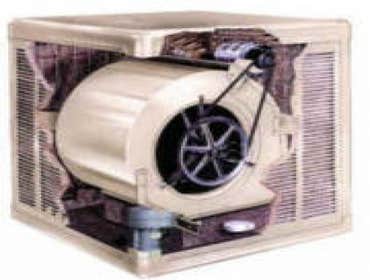 Swamp Cooler