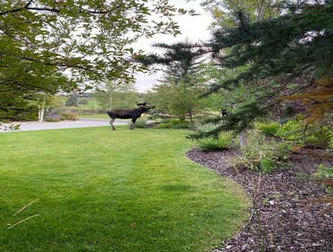 Photos by Fine Construction LLC #1